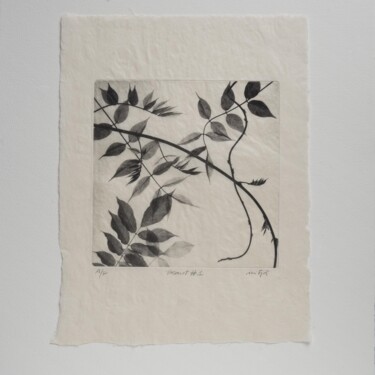 Printmaking titled "Plant #1" by Carles Mitjà, Original Artwork, Etching