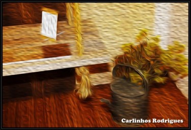 Artes digitais intitulada "banco-e-floreira.jpg" por Carlinhos Rodrigues, Obras de arte originais