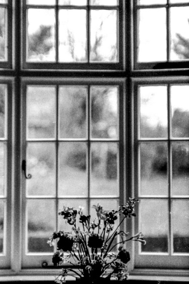Fotografia intitulada "bay window" por Carlo Cristani Amista', Obras de arte originais, Fotografia de filme