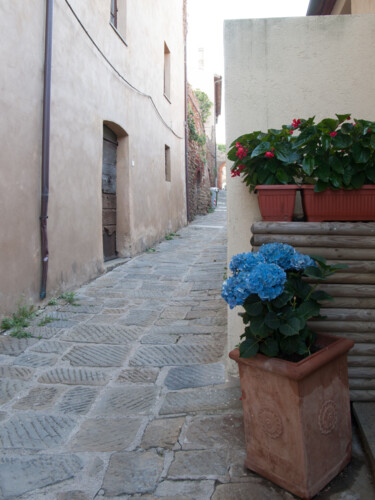 Fotografia intitolato "fiori" da Carlo Cristani Amista', Opera d'arte originale, Fotografia digitale