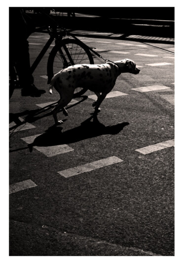 Photographie intitulée "Héros de l'ombre 2" par Carlos Arriagada, Œuvre d'art originale, Photographie numérique