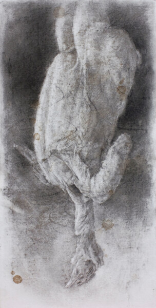 Drawing titled "La siesta II" by Carlos Asensio, Original Artwork, Charcoal Mounted on Wood Panel