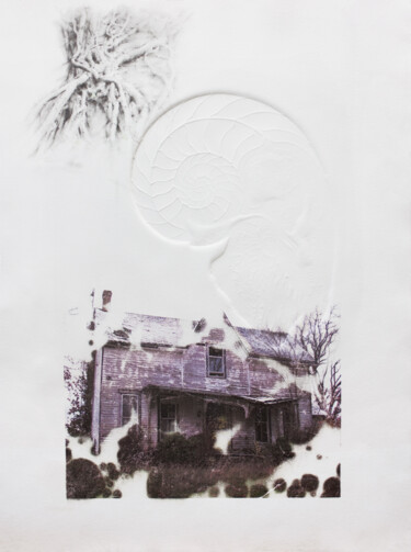 Druckgrafik mit dem Titel "Forgotten roots XII" von Carlos Asensio, Original-Kunstwerk, Monotypie