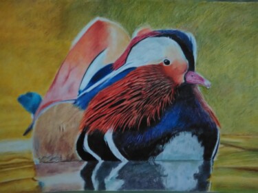 Pintura intitulada "Pato chinês" por Carlos Campioni, Obras de arte originais