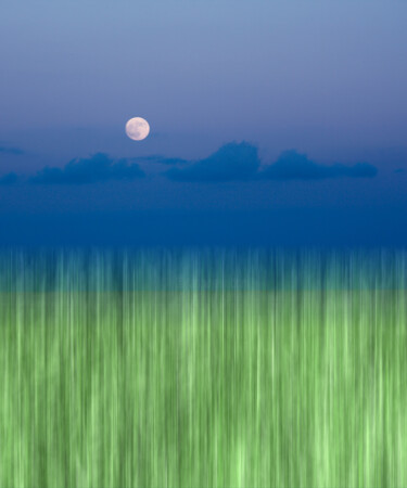 Fotografia zatytułowany „Beside The Lake” autorstwa Carlos Canet Fortea, Oryginalna praca, Fotografia cyfrowa