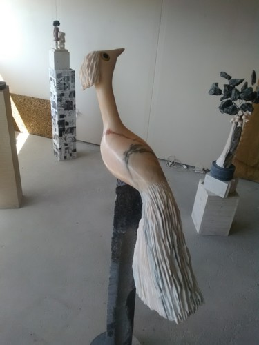 Sculptuur getiteld "AVE COM RABO GRANDE" door Carlos Rodrigues, Origineel Kunstwerk, Steen