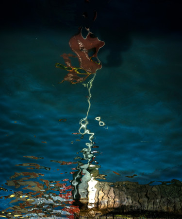 Фотография под названием "Reflets 1" - Carmen Lazarescu, Подлинное произведение искусства, Цифровая фотография