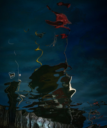 Фотография под названием "Reflets 1V" - Carmen Lazarescu, Подлинное произведение искусства, Цифровая фотография