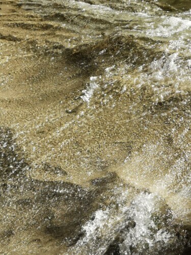 Fotografía titulada "Im Wasser" por Carola Mantzsch (Carma), Obra de arte original, Fotografía no manipulada