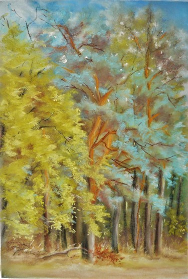 Pintura intitulada ""les couleurs du la…" por Carole Closkin, Obras de arte originais, Pastel