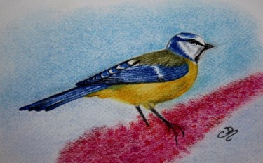 Drawing titled "L' oiseau chanteur" by Carole D'Aroca, Original Artwork, Chalk