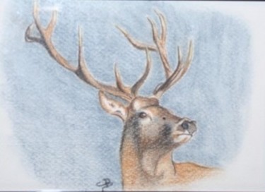 Drawing titled "Cerf" by Carole D'Aroca, Original Artwork, Pastel