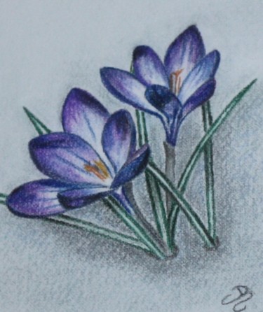 Drawing titled "Les crocus" by Carole D'Aroca, Original Artwork, Pastel