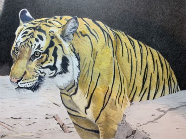 Disegno intitolato "Tiger Tiger #artist…" da Carole Mcalpine, Opera d'arte originale, Matita