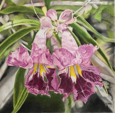 Desenho intitulada "Pink Flowers #artis…" por Carole Mcalpine, Obras de arte originais, Lápis