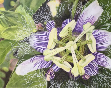 Dessin intitulée "Passionfruit Perfec…" par Carole Mcalpine, Œuvre d'art originale, Crayon
