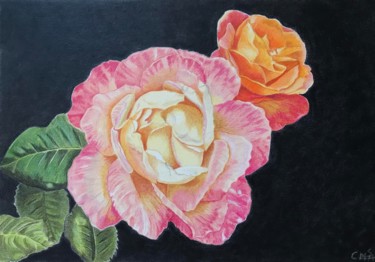 Tekening getiteld "Roses" door Carole Mcalpine, Origineel Kunstwerk, Potlood