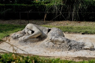 Sculpture intitulée "FOSSILE" par Caroline Leite, Œuvre d'art originale, Béton