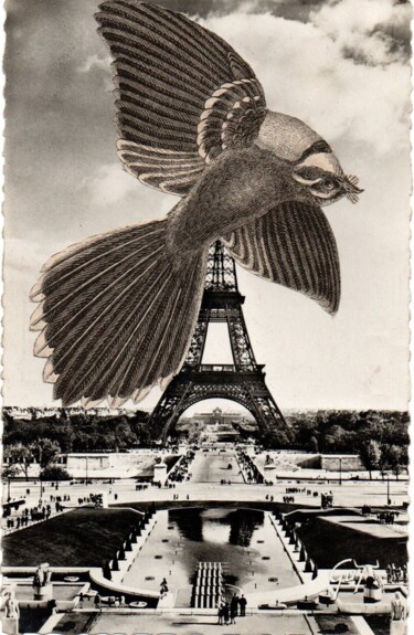 Collages getiteld "Eiffel bird" door Caroline Thunus, Origineel Kunstwerk, Collages