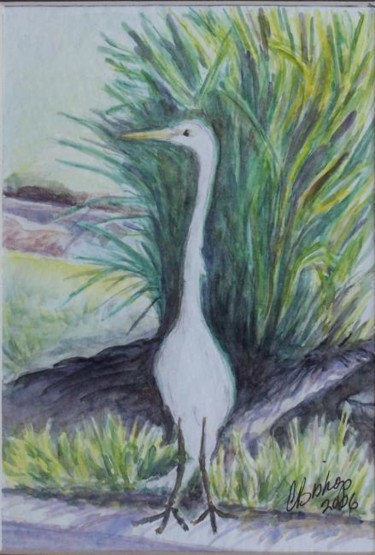 Painting titled "White Egret" by Carolyn Bishop, Original Artwork