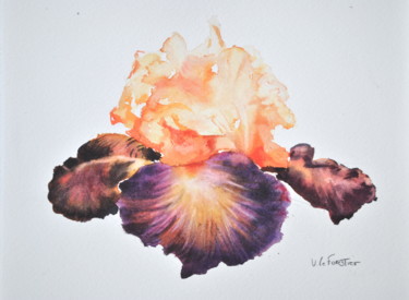 Peinture intitulée "Iris tout près" par Le Forestier, Œuvre d'art originale, Aquarelle