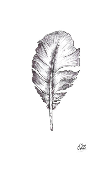 Disegno intitolato "Owl Feather" da Cass Galleas, Opera d'arte originale, Inchiostro
