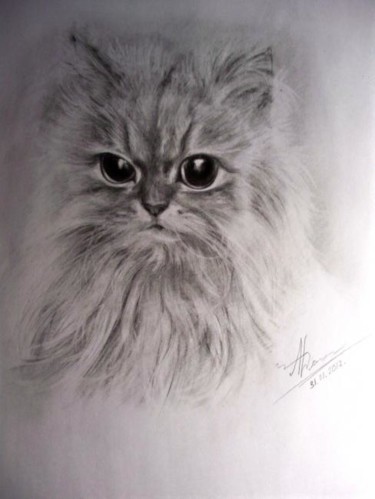 Рисунок под названием "Kitty" - Alexandra Dergach, Подлинное произведение искусства