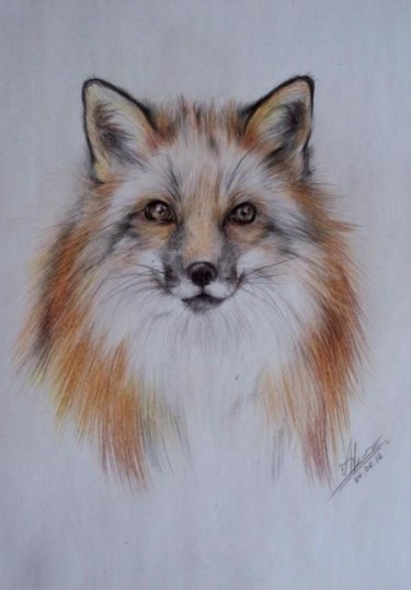 Рисунок под названием "Fox" - Alexandra Dergach, Подлинное произведение искусства