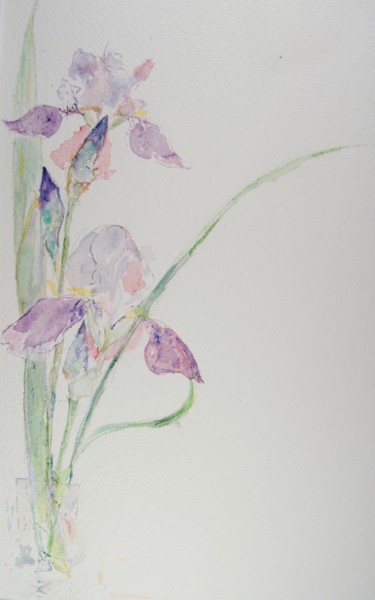 绘画 标题为“iris bleus et mauves” 由Catherine Claude, 原创艺术品, 水彩
