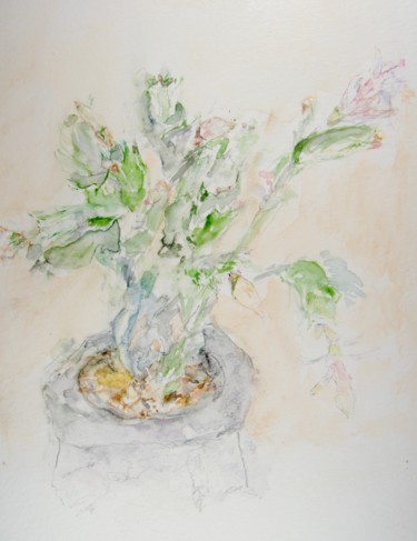 Painting titled "cactus de printemps" by Catherine Claude, Original Artwork, Watercolor
