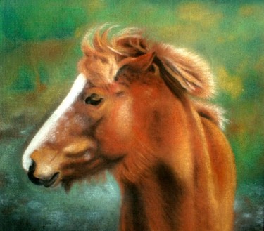 Peinture intitulée "Portrait d'un cheval" par Peindre En Catalogne, Œuvre d'art originale, Huile