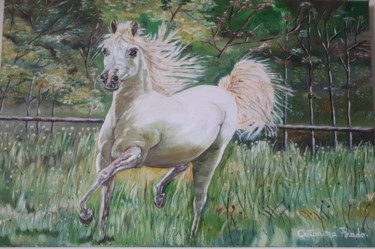 Painting titled "Cavalo  branco." by Catarina  Prado., Original Artwork, Oil