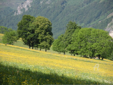 Photographie intitulée "Printemps au Sarrat…" par Catcha, Œuvre d'art originale, Photographie non manipulée