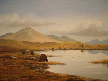 Pintura intitulada "connemara bogland" por Cathal O Malley, Obras de arte originais