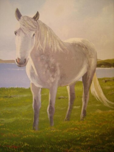 Peinture intitulée "connemara pony 2" par Cathal O Malley, Œuvre d'art originale