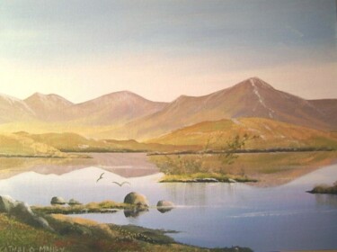 Peinture intitulée "recess lake birds" par Cathal O Malley, Œuvre d'art originale
