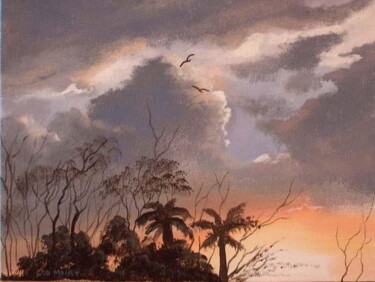 Peinture intitulée "arizona sunset" par Cathal O Malley, Œuvre d'art originale