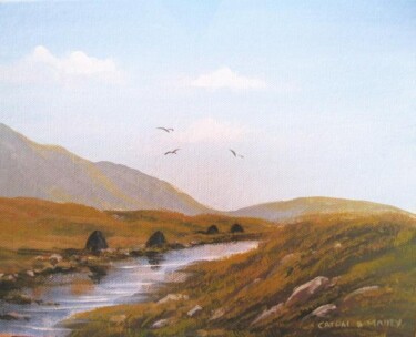 Painting titled "cleggan bogland" by Cathal O Malley, Original Artwork