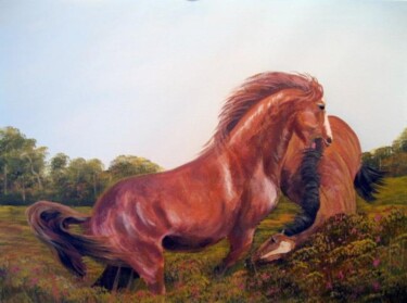 Pintura intitulada "stallion fight" por Cathal O Malley, Obras de arte originais