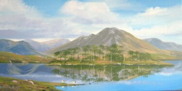 Pittura intitolato "pine island  derryc…" da Cathal O Malley, Opera d'arte originale