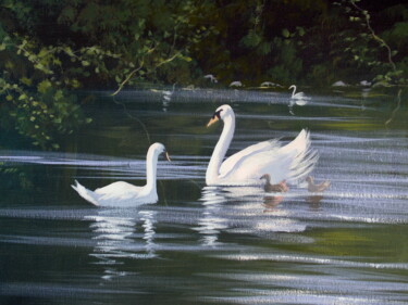 Malarstwo zatytułowany „swans in renvyle” autorstwa Cathal O Malley, Oryginalna praca, Akryl