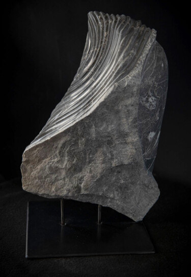 Скульптура под названием "Chrysalide" - Catherine Arnaud, Подлинное произведение искусства, Камень