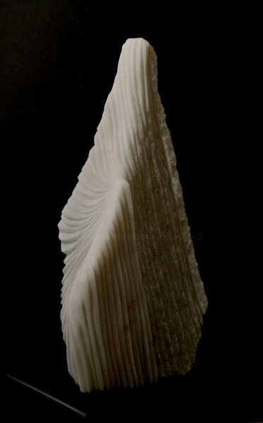 Scultura intitolato "Rhapsodie" da Catherine Arnaud, Opera d'arte originale, Pietra