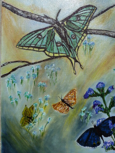 Peinture intitulée "ronde de papillons" par Catherine Boissy, Œuvre d'art originale