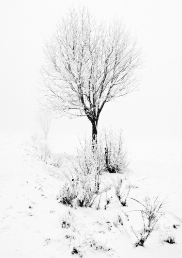 Photographie intitulée "Le Grand Pré Blanc" par Catherine Boutin, Œuvre d'art originale, Photographie numérique