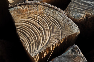 Photographie intitulée "Coupe de bois" par Catherine Boutin, Œuvre d'art originale, Photographie numérique