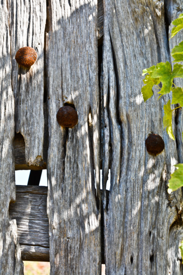 Photography titled "Vieux portail" by Catherine Boutin, Original Artwork, Digital Photography