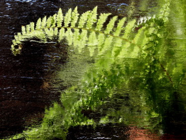 Photographie intitulée "Impression verte" par Catherine Boutin, Œuvre d'art originale, Photographie numérique