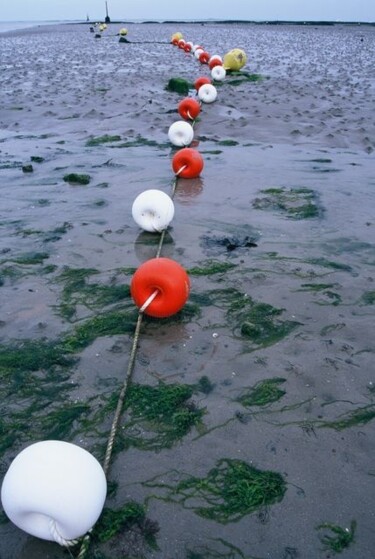 Photographie intitulée "Bouées à marée basse" par Catherine Boutin, Œuvre d'art originale