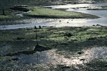 Photographie intitulée "Bretagne. Marée bas…" par Catherine Boutin, Œuvre d'art originale